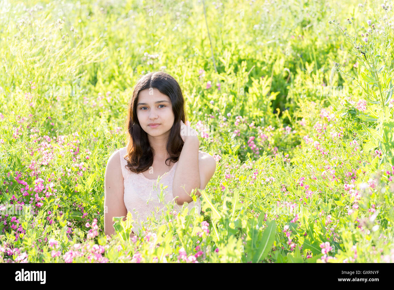 Modesto curato Ragazza sul prato estivo Foto Stock