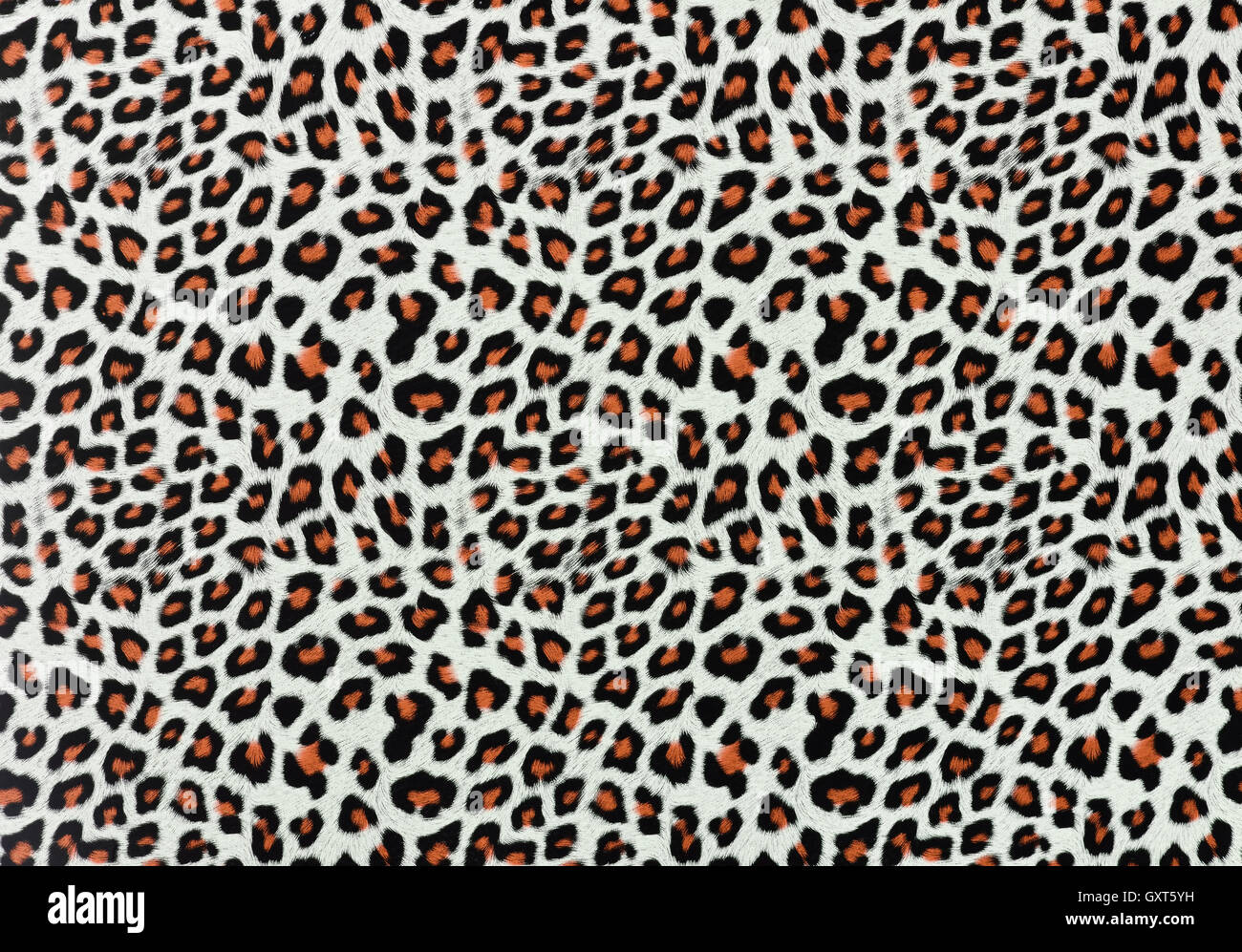 Leopard sfondo spot Foto Stock