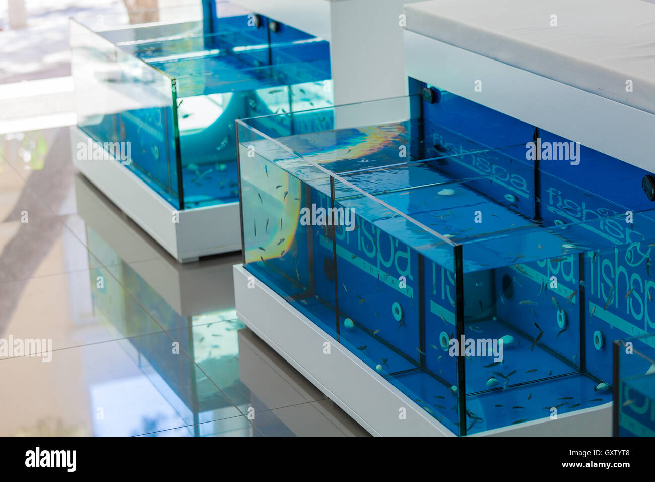 AGIOS NIKOLAOS, Grecia - 30 luglio 2012: acquari per piedi trattamento con Garra Rufa pesci, Creta Foto Stock