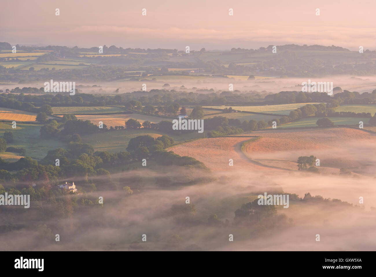 Nebbia copriva il rotolamento Dartmoor campagna all'alba, Devon, Inghilterra. In estate (Luglio) 2015. Foto Stock