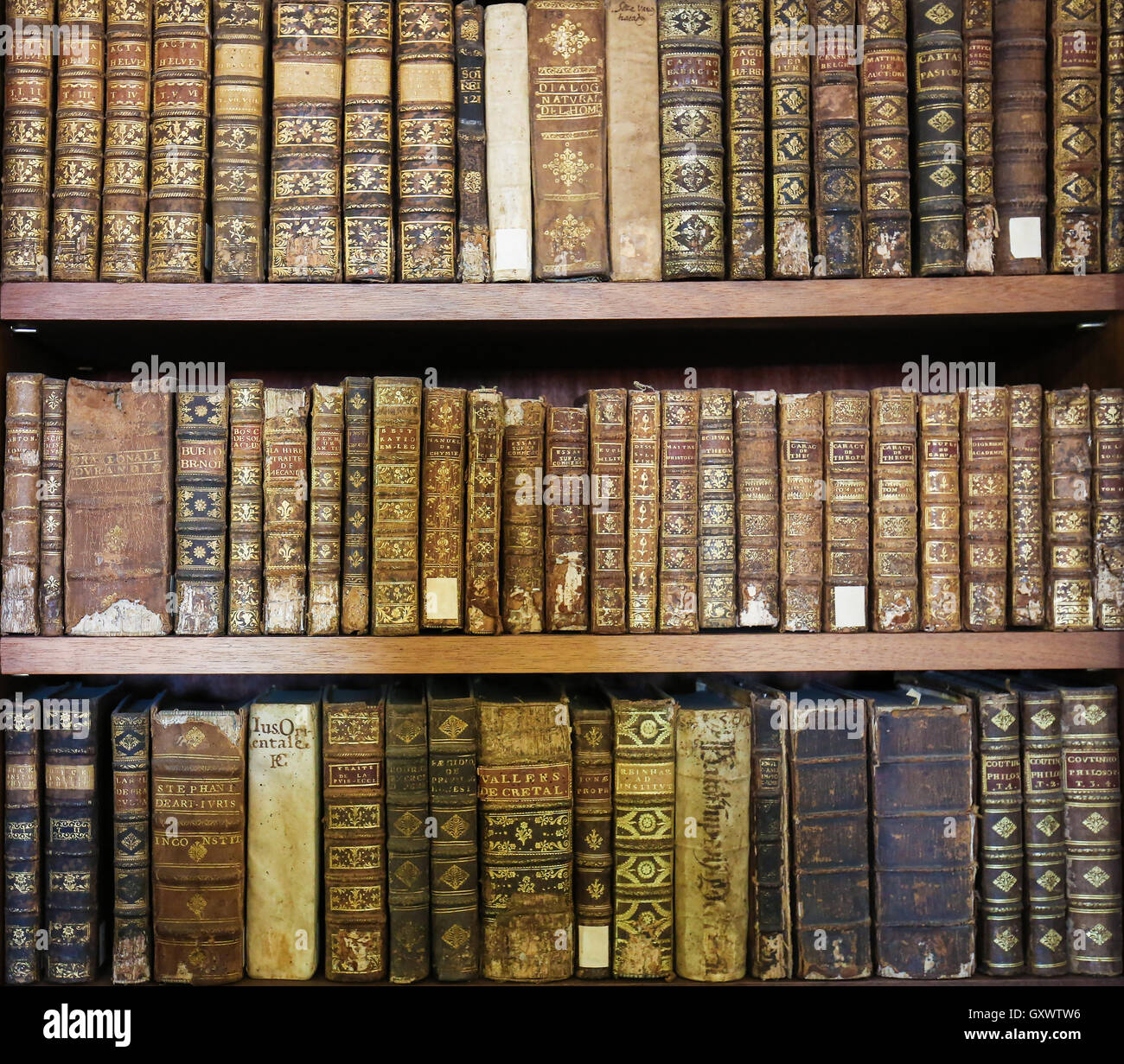 Vecchi libri in biblioteca di Coimbra, Portogallo Foto Stock