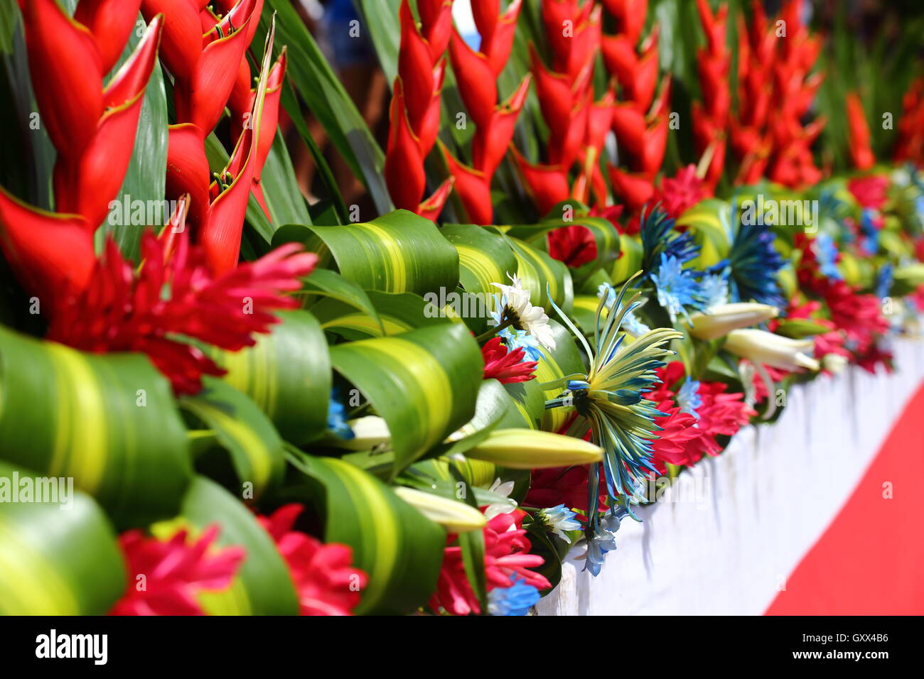 Immagine dal Giorno Di Indipendenza Parade 2016 in Quepos in Costa Rica. Foto Stock