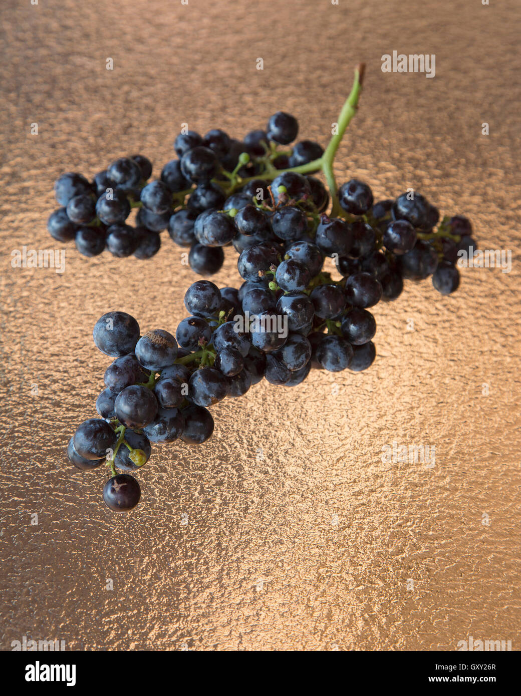 Un mazzo di uve Concord Merlot Foto Stock