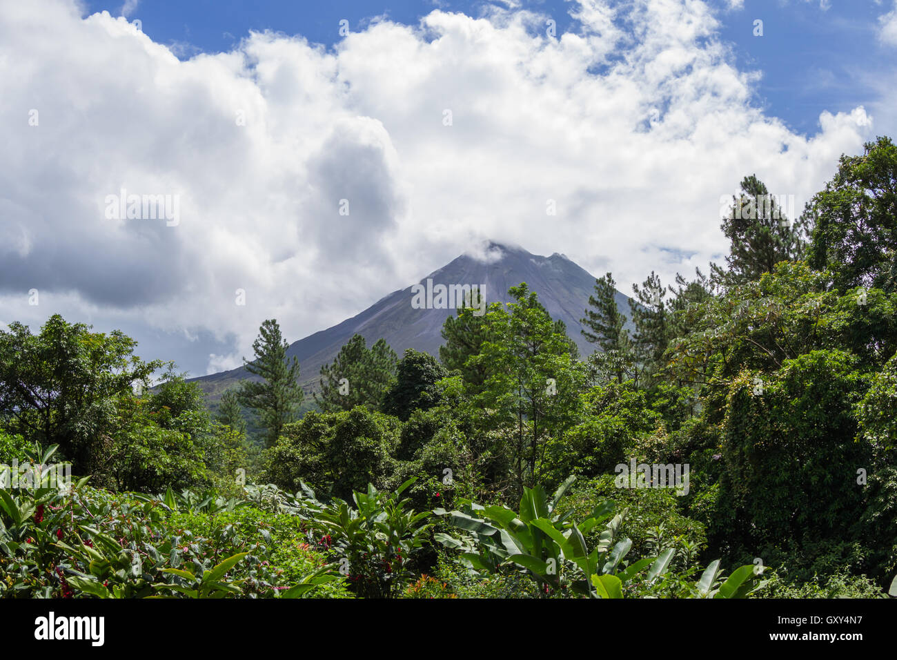 Classica forma a cono vulcano circondato da lussureggiante vegetazione tropicale e in rapido movimento di nuvole in La Fortuna de San Carlos, Costa Rica Foto Stock