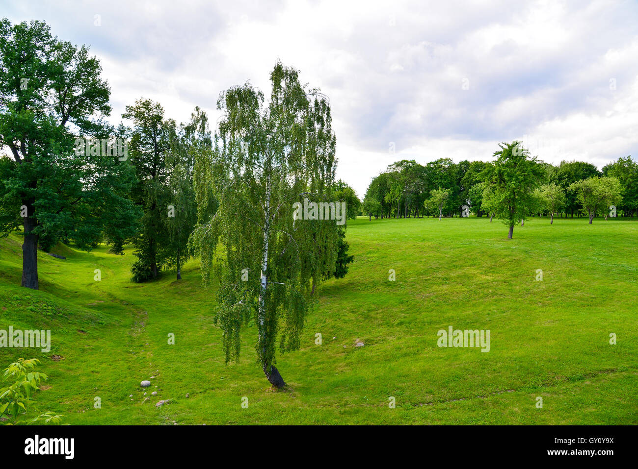 Kuskovo park a Mosca in estate, Russia Foto Stock