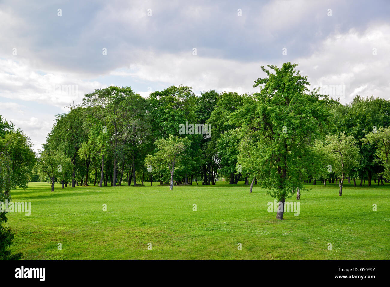 Kuskovo park a Mosca in estate, Russia Foto Stock