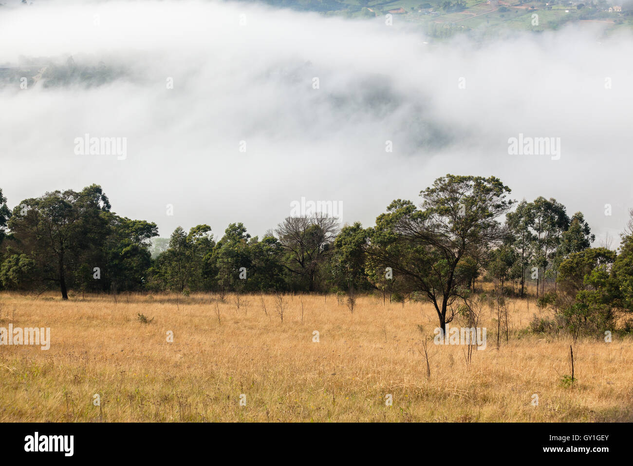 Paesaggio rurale terreni agricoli contemplati nella nube di nebbia attraverso valli e colline paesaggio Foto Stock