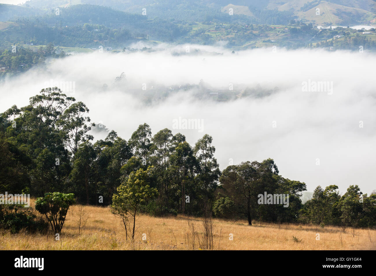 Paesaggio rurale terreni agricoli contemplati nella nube di nebbia attraverso valli e colline paesaggio Foto Stock