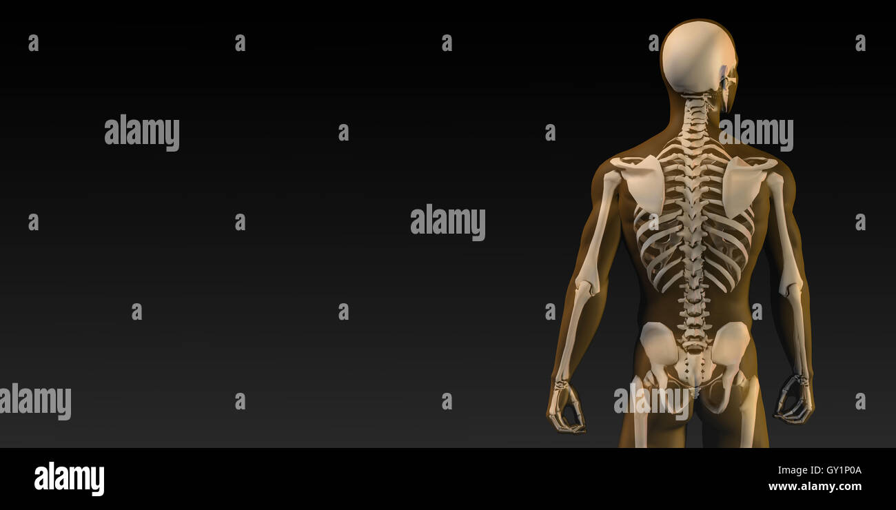 Un osso umano schema della struttura in arancione e nero Foto Stock