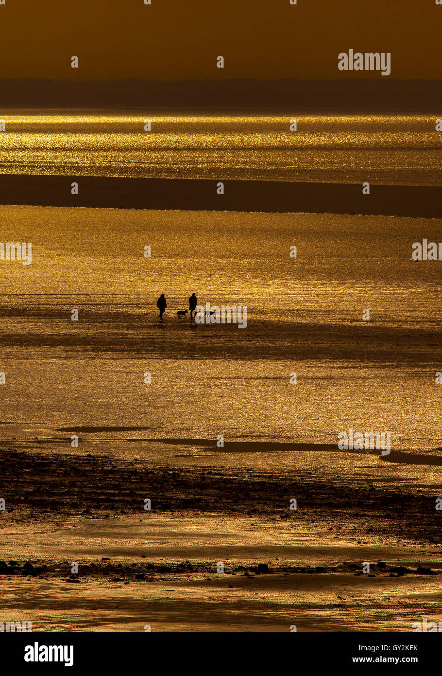 Accoppiare cani a piedi con la bassa marea sul lavaggio a Hunstanton Norfolk Foto Stock