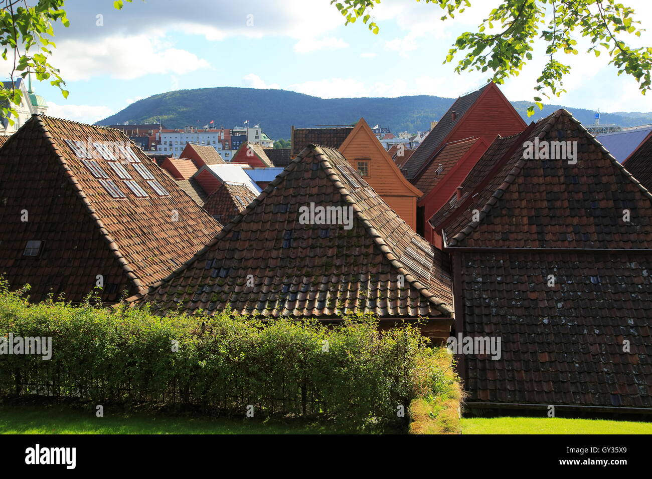 Storico della Lega Anseatica di edifici in legno Bryggen area, Bergen, Norvegia Patrimonio Mondiale UNESCO tetti Foto Stock