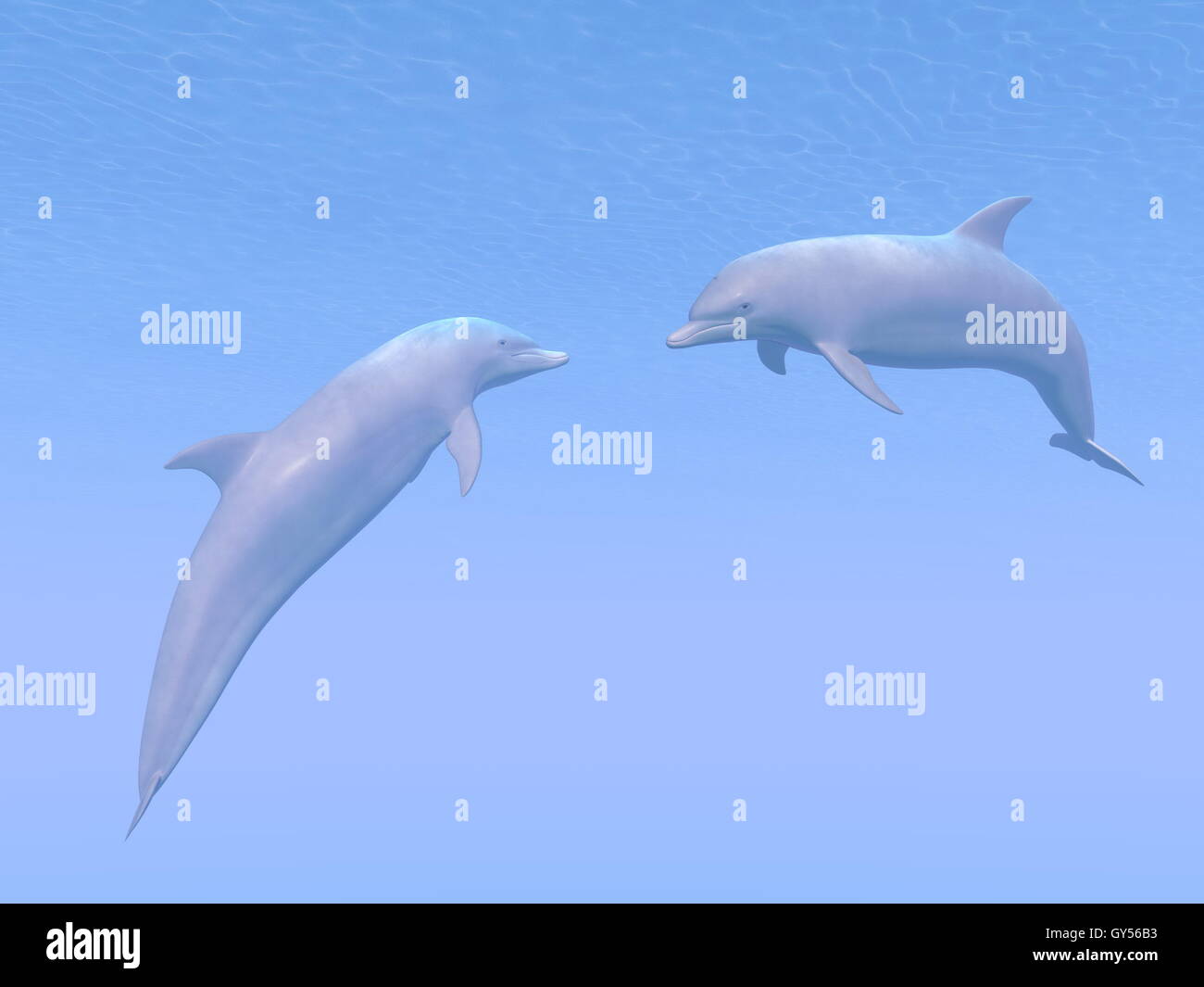 I delfini data - 3D render Foto Stock