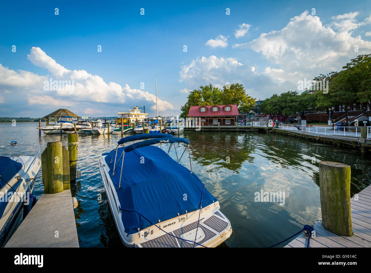 Docks e barche sul Fiume Potomac waterfront, in Alexandria, Virginia. Foto Stock