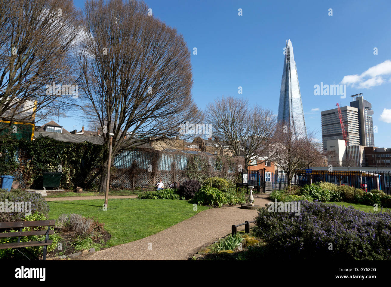 Una vista del grattacielo Shard & Guy's Hospital da Croce Rossa Parco Giardino, Southwark, Londra, Regno Unito Foto Stock