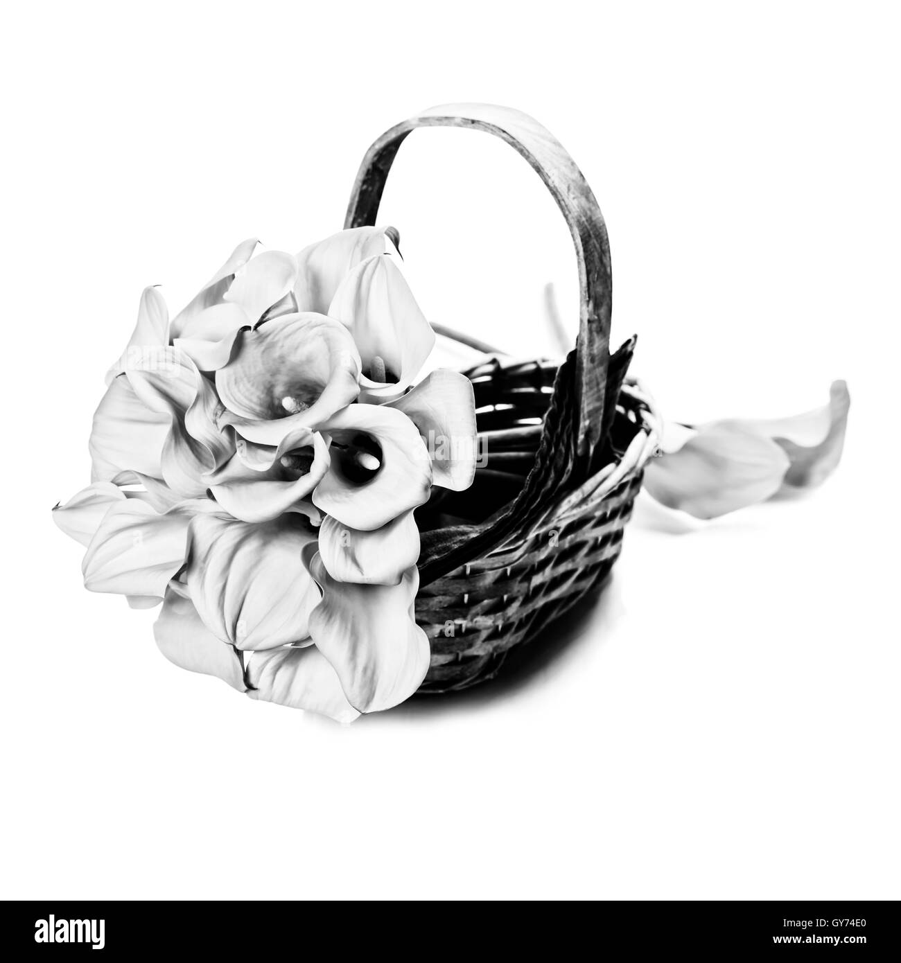 Bellissima calla bouquet di gigli Foto Stock