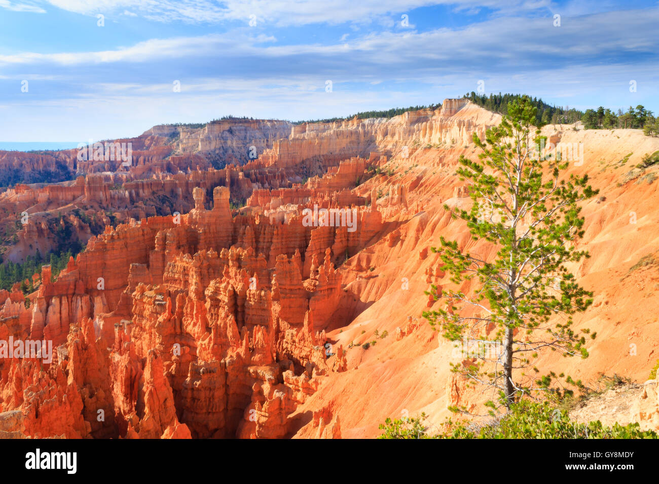 Panorama dal Parco Nazionale di Bryce Canyon, Stati Uniti d'America. Hoodoos, formazioni geologiche. Uno splendido scenario Foto Stock