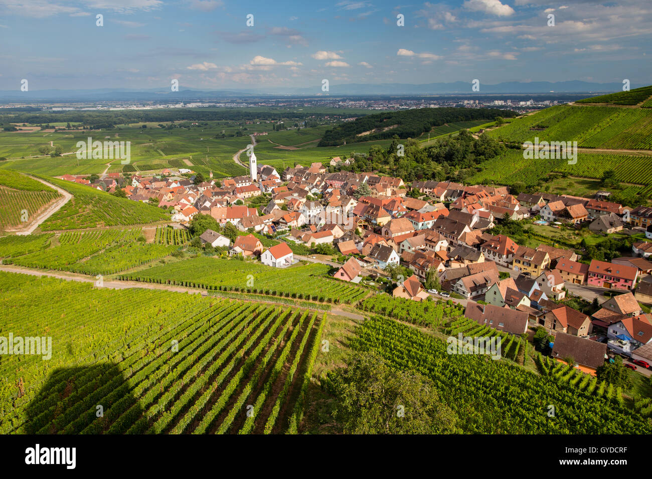 Villaggio Katzenthal e vigneti circostanti sulla strada del vino in Alsazia, Francia Foto Stock