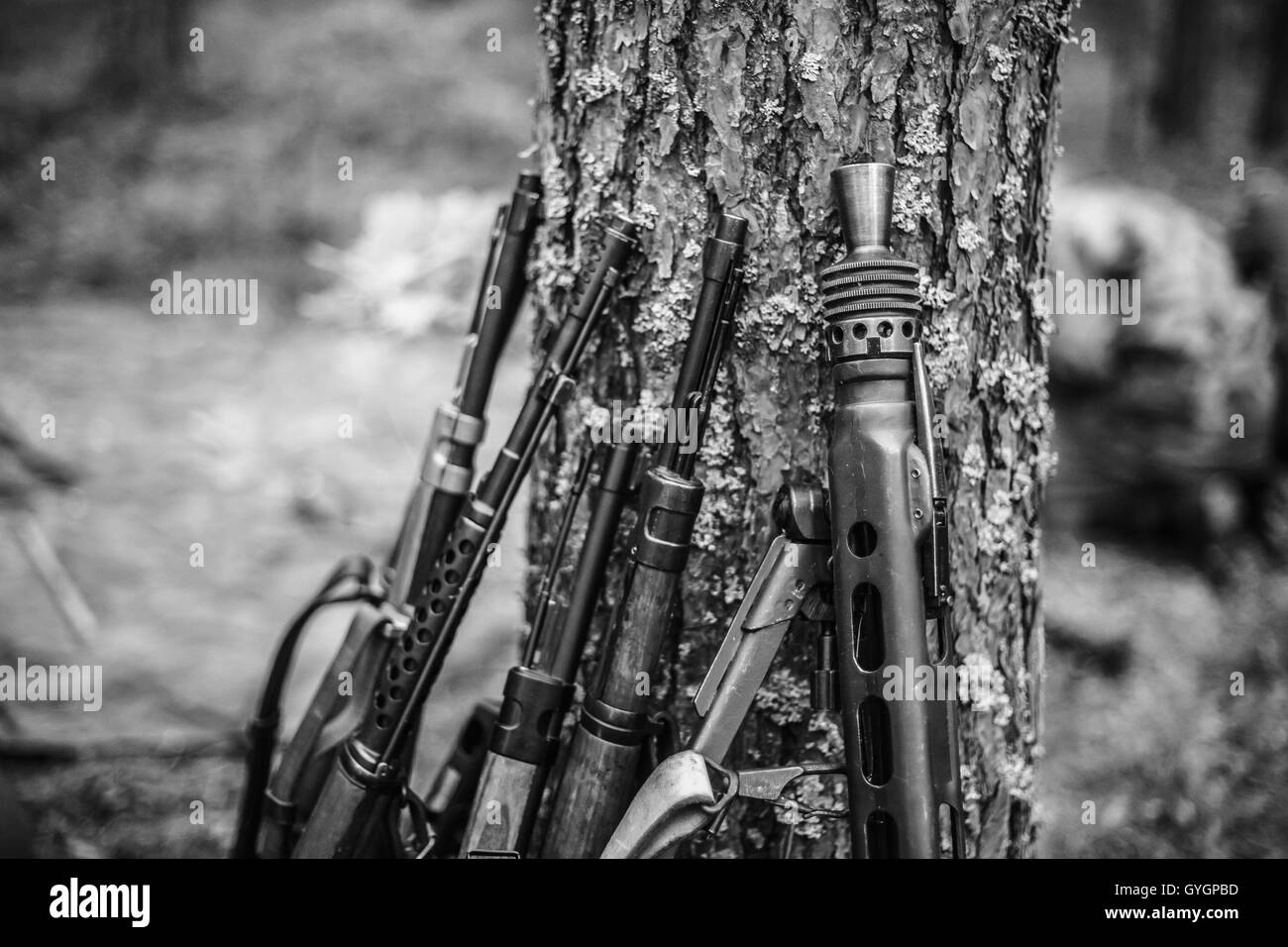 Sovietica e fucili tedeschi della II Guerra Mondiale machine-gun appoggiato contro il tronco del Pino Foto Stock