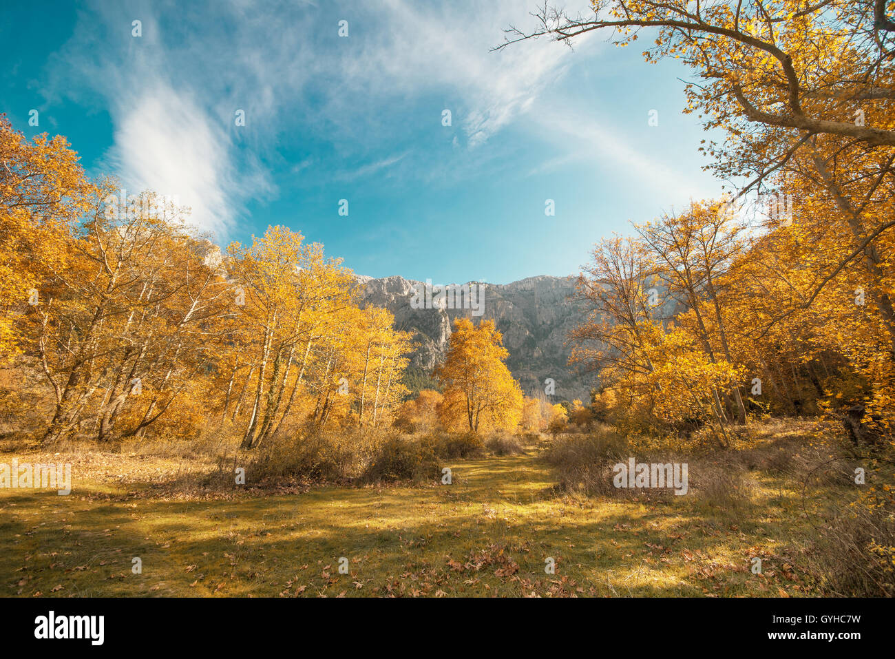 Paesaggio autunnale con il blu del cielo Foto Stock