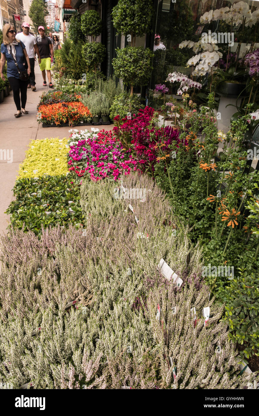Flower District, West 28th Street, Chelsea, New York Foto Stock