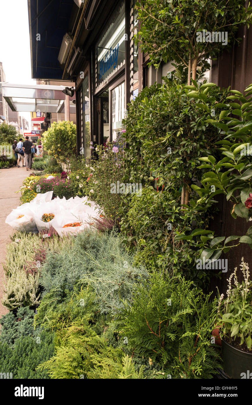 Flower District, West 28th Street, Chelsea, New York Foto Stock