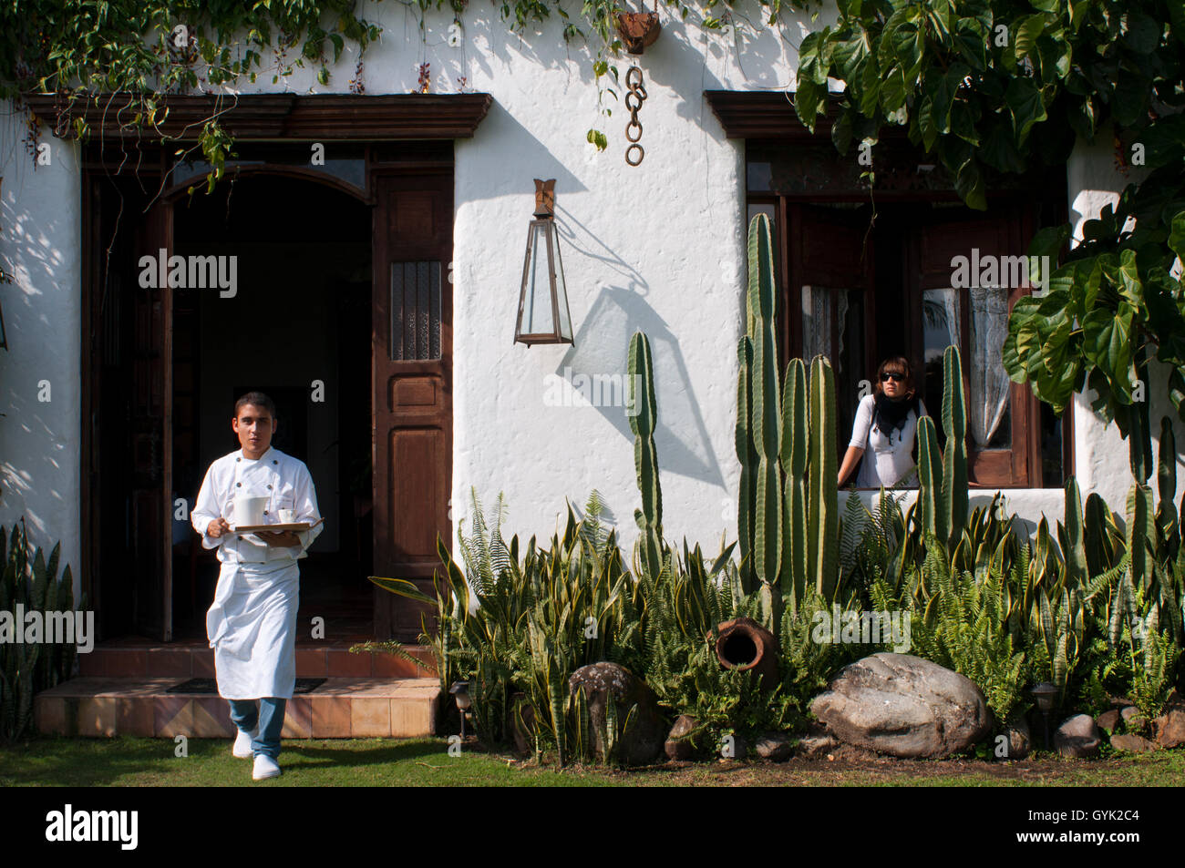 Hotel e cottage El delirio. Quindío, Colombia. Caffè colombiano crescente asse. Il caffè colombiano Regione, noto anche come il C Foto Stock