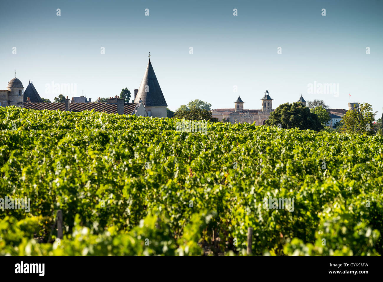 Vigneto con tetto del Chateau Mouton Rothschild, Medoc, Bordeaux, Francia, Unione Europea, Europa Foto Stock