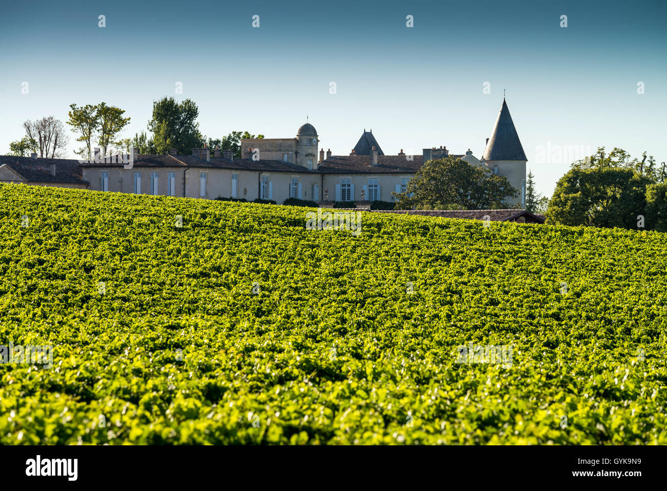 Vigneto con tetto del Chateau Mouton Rothschild, Medoc, Bordeaux, Francia, Unione Europea, Europa Foto Stock