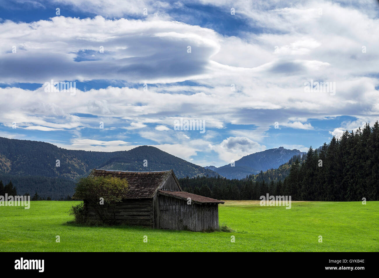 Ricca di un prato con cielo velato, in Germania, in Baviera, Oberbayern, Alta Baviera, Hoher Trauchberg Foto Stock
