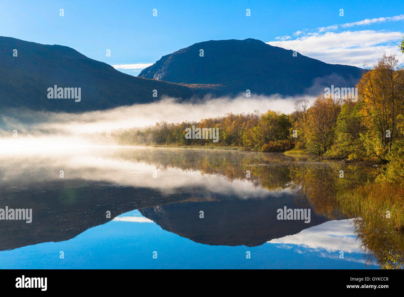 La nebbia la riflessione sul fiume Barduelva, Norvegia, Troms, Bardu Foto Stock