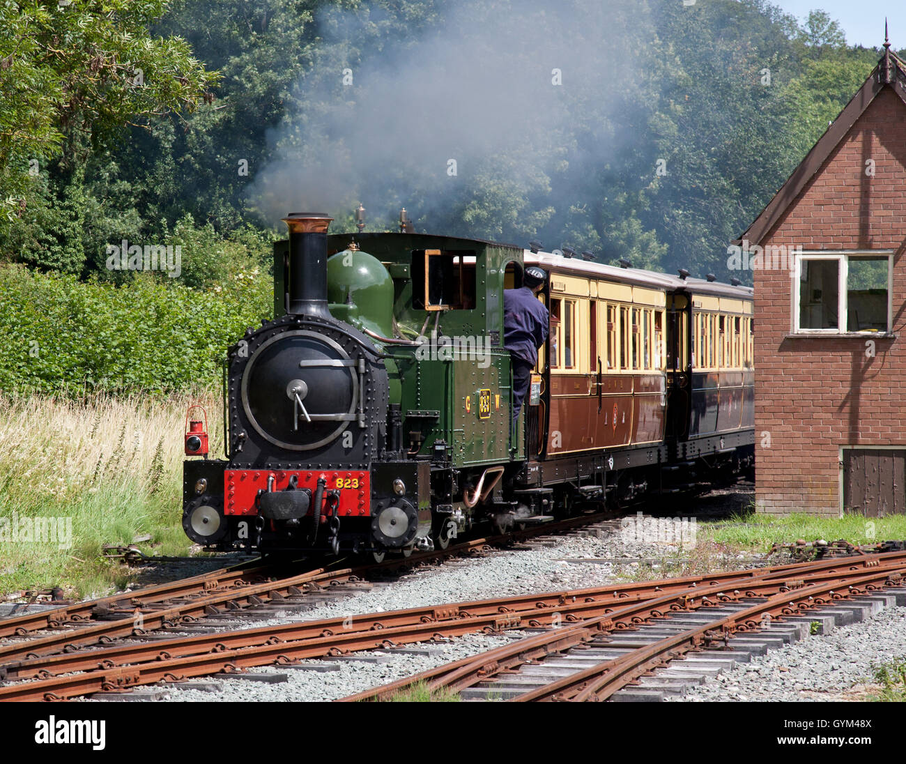 Welshpool e Llanfair ferrovia a scartamento ridotto Contessa motore tirando fuori di Welshpool con il suo treno di Pickering tipo pullman. Foto Stock