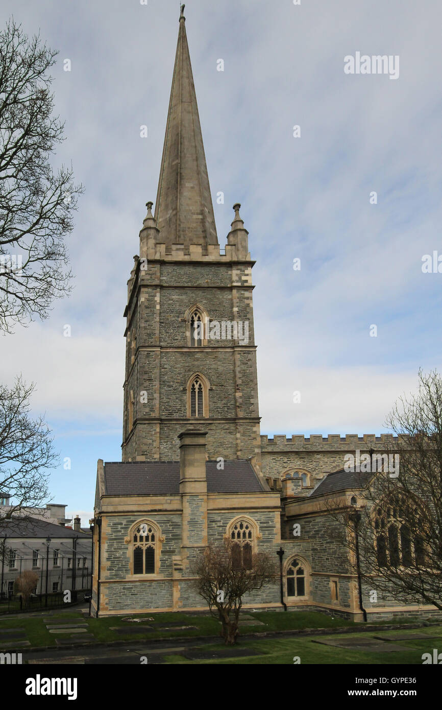 St Columb la cattedrale di Londonderry, Irlanda del Nord. Foto Stock