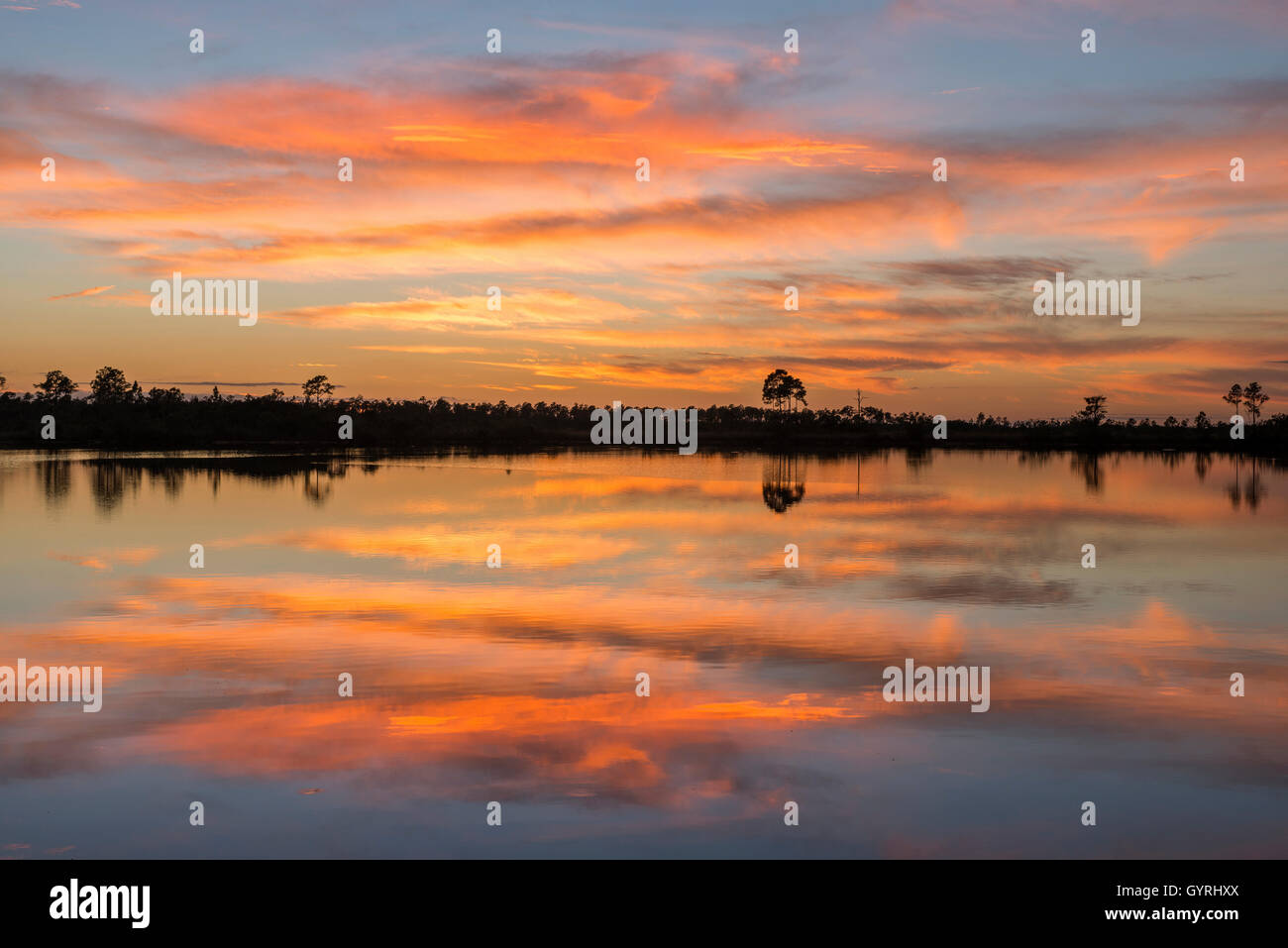 Il tramonto nelle radure di Pino Lago in Everglades National Park, Florida USA Foto Stock