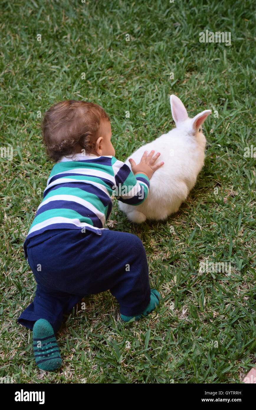 Il bambino gioca con domestico coniglio bianco in un giardino Foto Stock