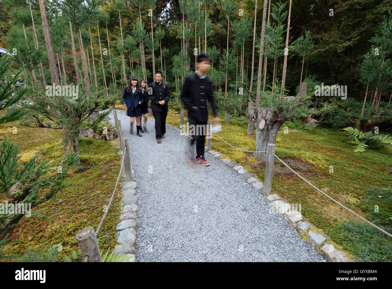 Kyoto, Giappone - 7 Nov, 2015: gli studenti a passeggiare nel giardino del Ryoan-ji il tempio di Kyoto, Giappone. Esposizione a lungo effetto di sfocatura. Foto Stock