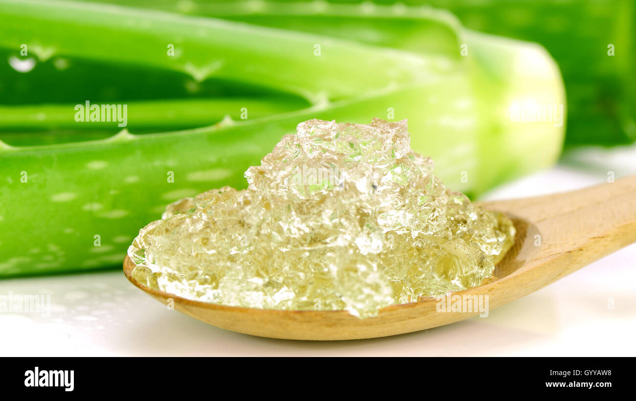 Pura Aloe vera gel sul cucchiaio di legno. Aloe vera gel utilizzare quasi in cibo, medicina e industria di bellezza. Foto Stock