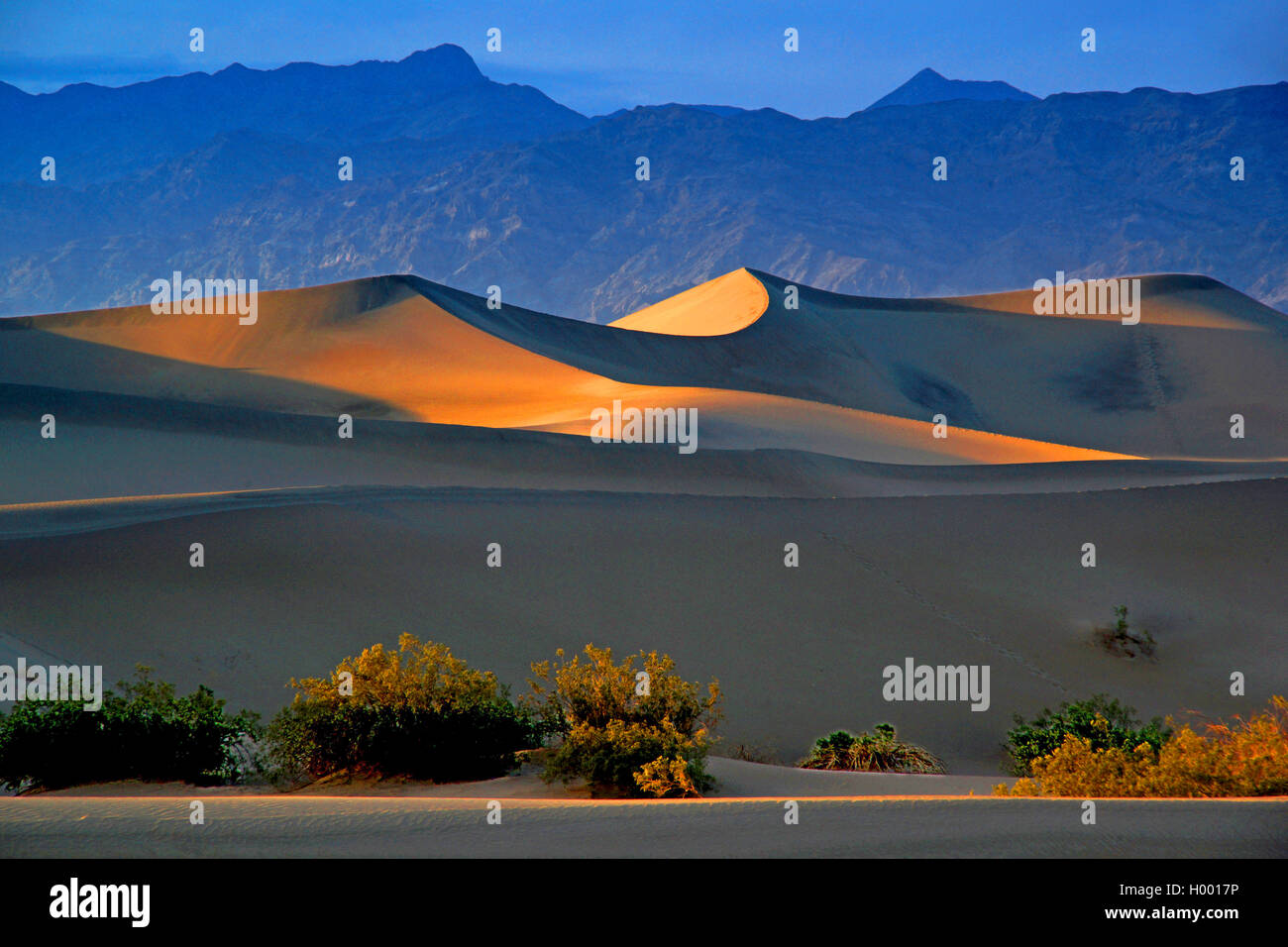Death Valley, Stati Uniti d'America, California, Parco Nazionale della Valle della Morte Foto Stock