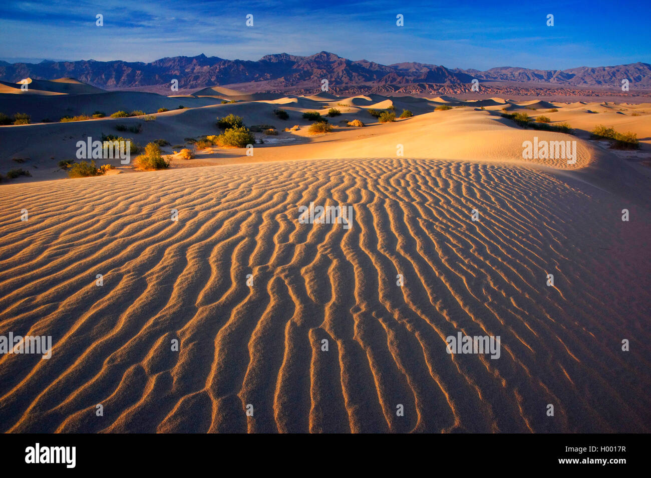 Death Valley, Stati Uniti d'America, California, Parco Nazionale della Valle della Morte Foto Stock