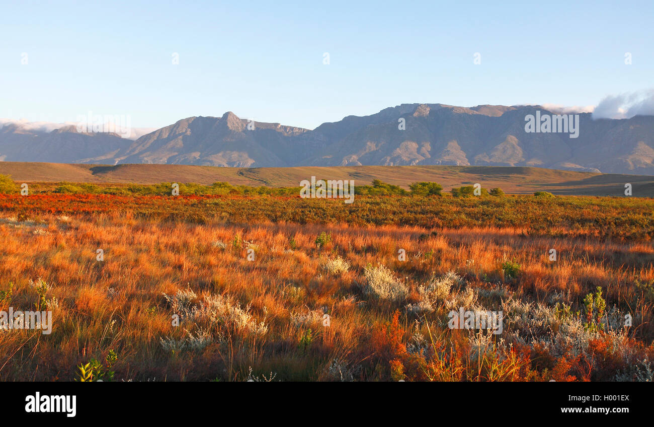 Vista delle montagne Langeberg, Sud Africa, Western Cape, Bontebok National Park, Swellendam Foto Stock