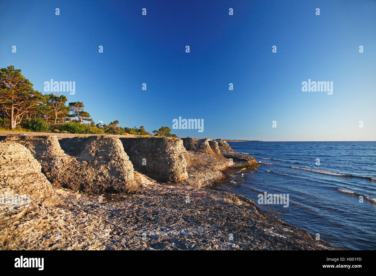 Chalkstone colonne presso la costa a Byrums Raukar, Svezia, Oeland, Byrums Raukar Foto Stock