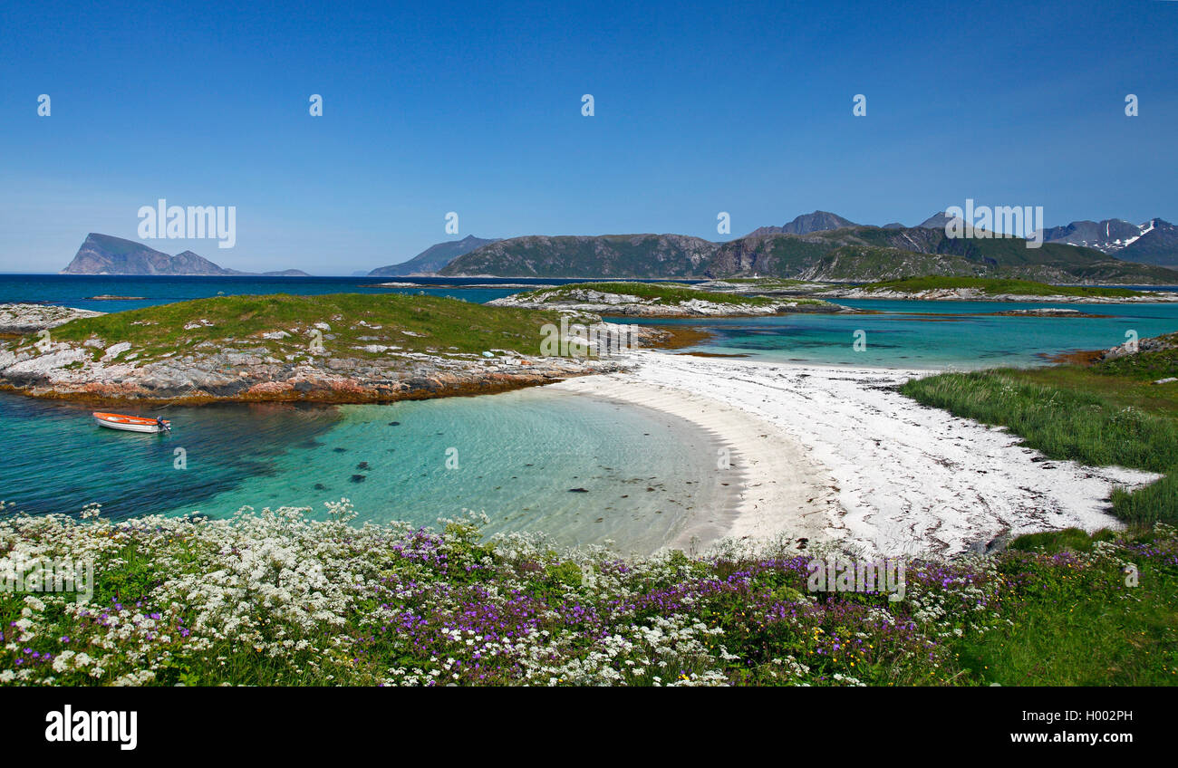Il paesaggio costiero a Sommaroya, Norvegia, Tromsoe Foto Stock