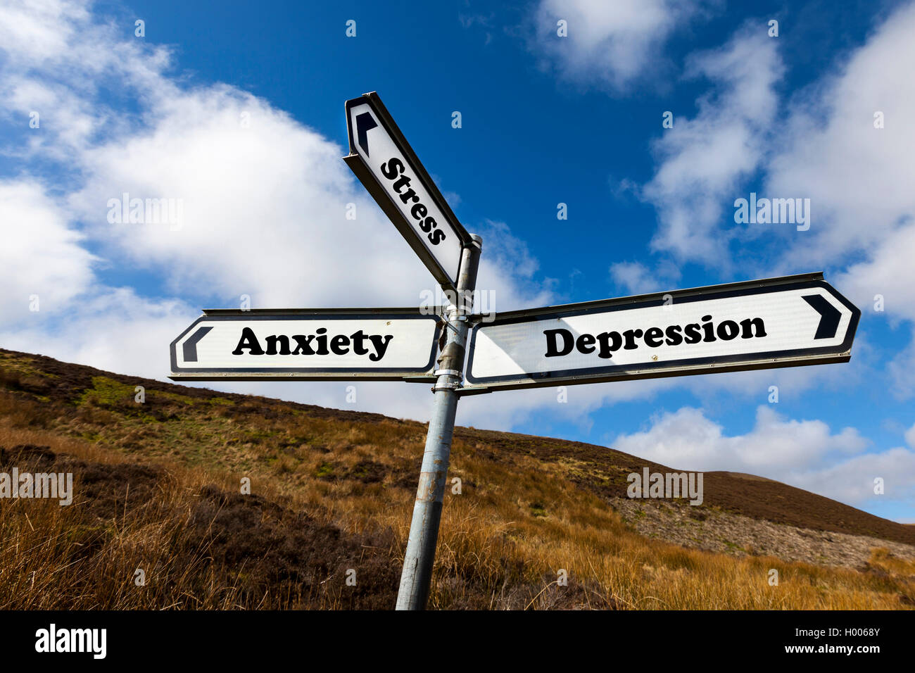 Depressione Stress ansia problema di salute mentale problemi concetto cartello stradale aiuto necessario NHS non riescono a far fronte scelta scegli la vita Foto Stock