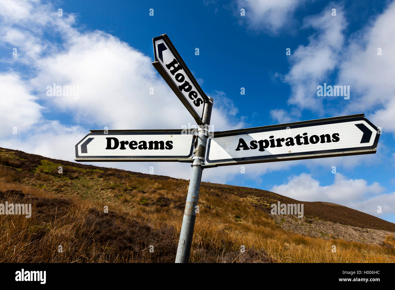 Speranze sogni aspirazioni concetto cartello stradale scelta scegli la vita direzione futura direzione le direzioni concetti segni Foto Stock