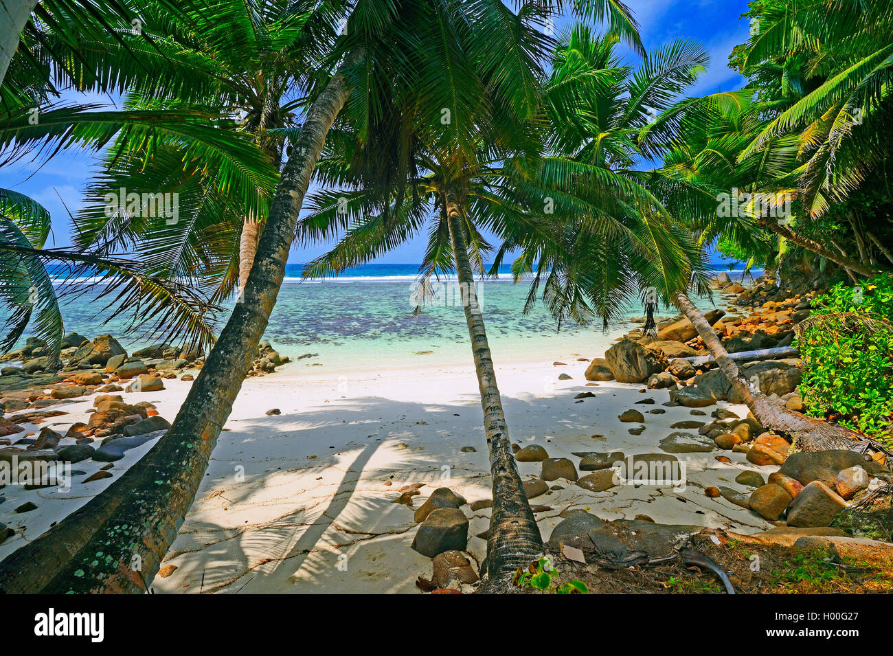 Sogno deserta spiaggia di Anse Baleine presso la costa orientale di Mahe, Seychelles, Mahe Foto Stock