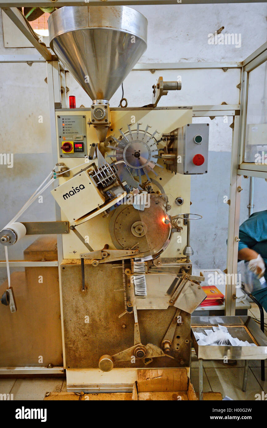 Mashine per la produzione di tè bustine di tè Seyte Company, Seychelles, Mahe Foto Stock