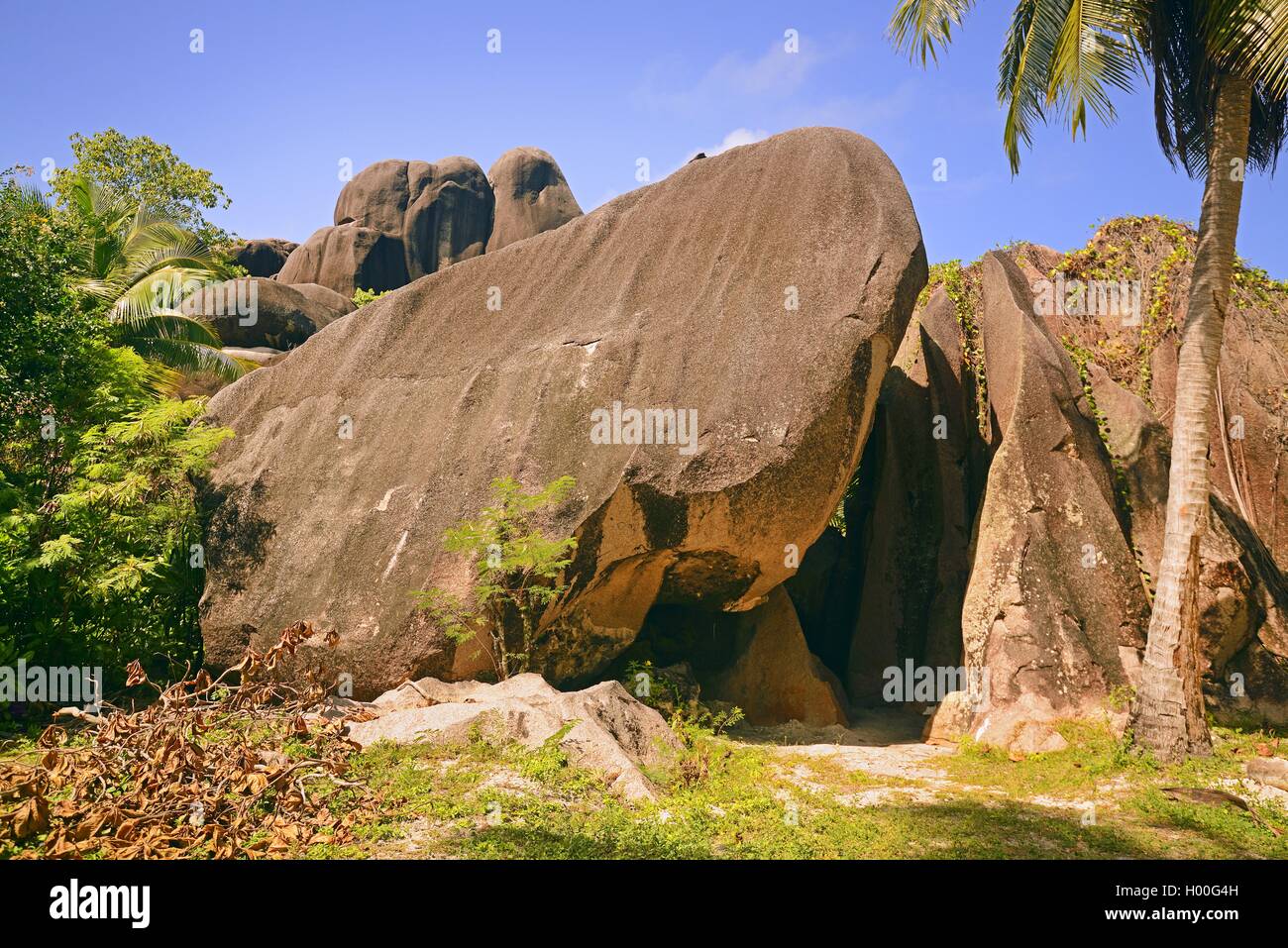 Palme e rocce di granito presso la spiaggia da sogno fonte d'Argent, Seychelles, La Digue Foto Stock
