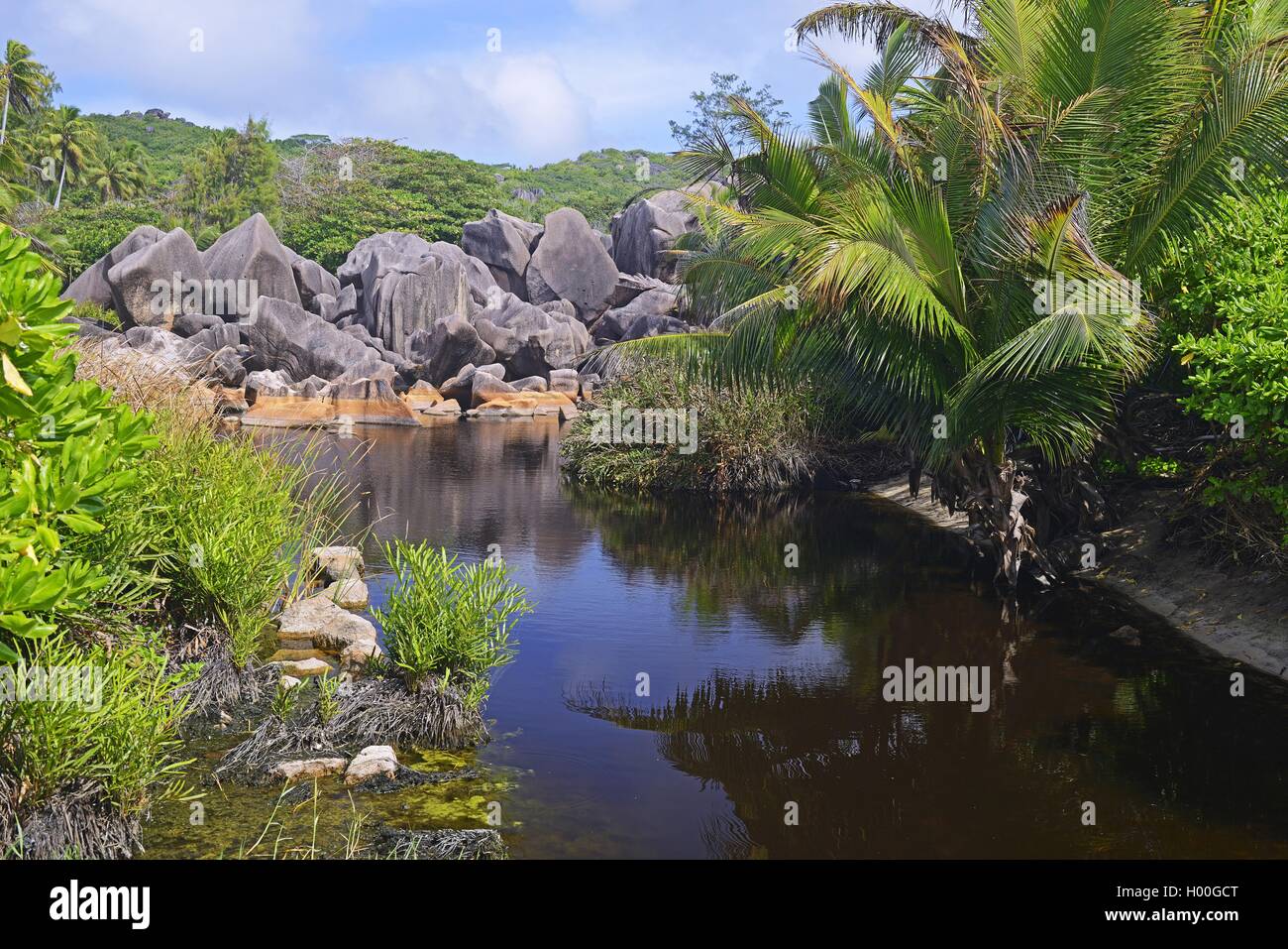 Acqua salmastra laguna di Grand Anse, Seychelles, La Digue Foto Stock