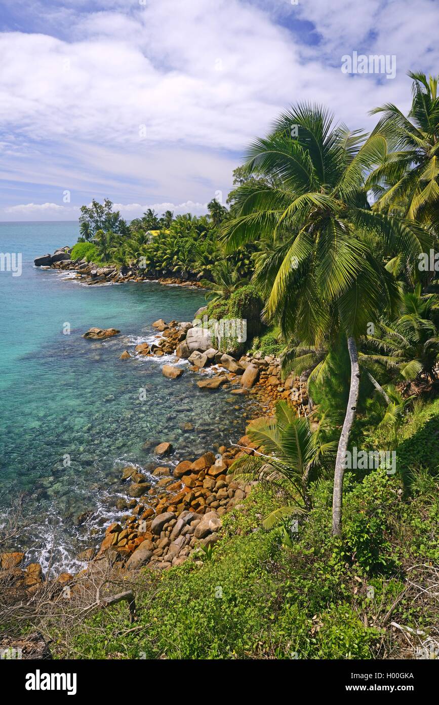 Promontorio della North East Point, Seychelles, Mahe Foto Stock