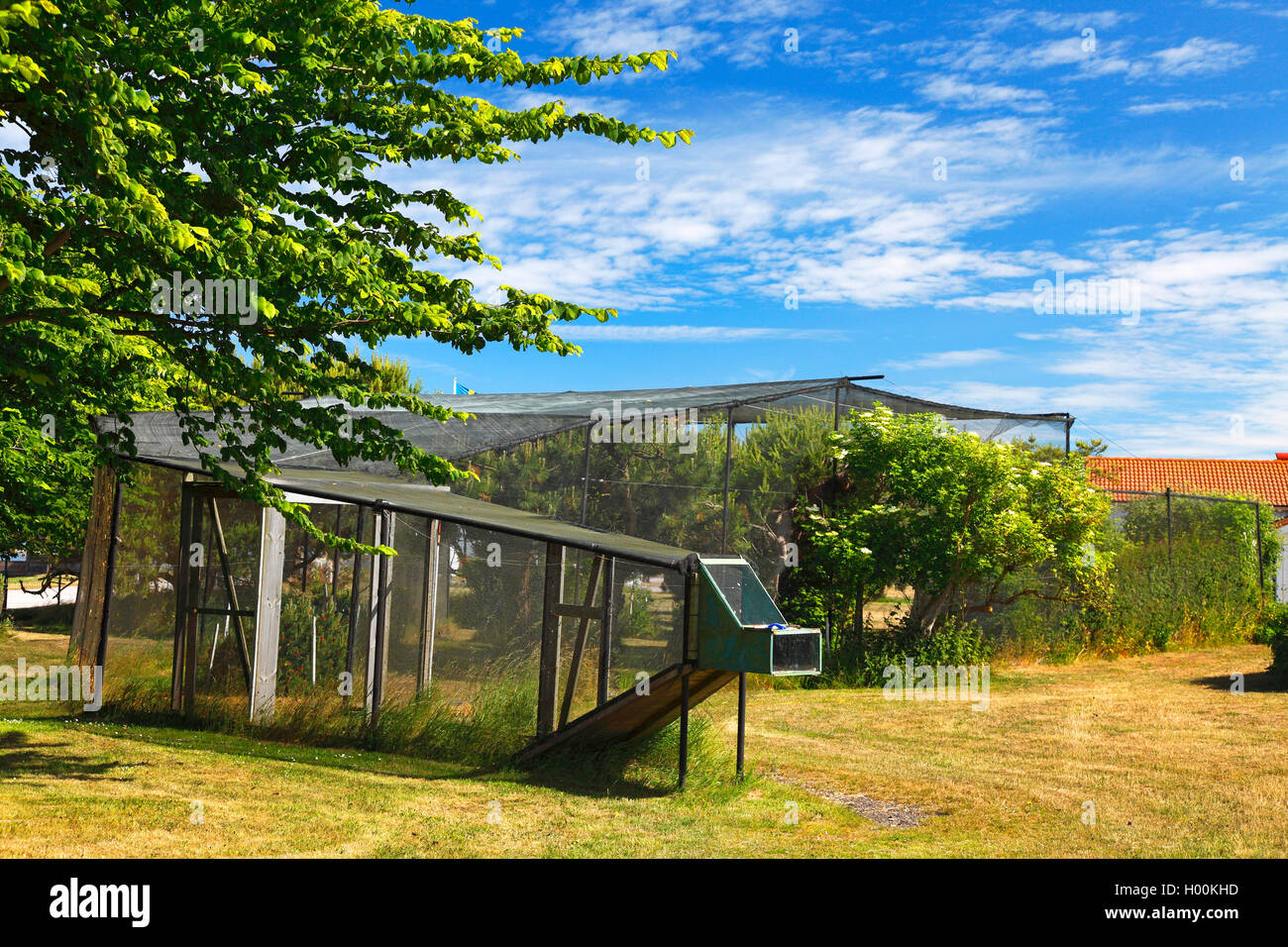 Grande trappola per la cattura di uccelli, Svezia, Oeland, Ottenby Foto Stock