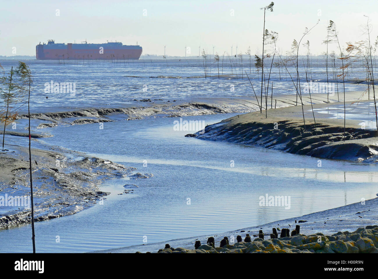 Canale di spedizione a marea di declino contrassegnato con bastoni, auto vettore in background, Germania, Bassa Sassonia, Wremertief, Cuxhaven Foto Stock